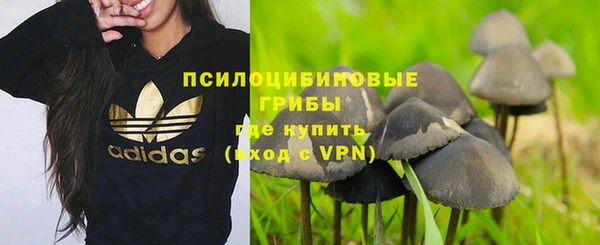 mdma Бородино