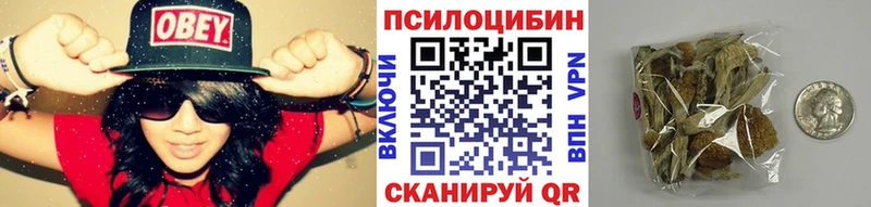 Галлюциногенные грибы прущие грибы  закладка  Калуга 